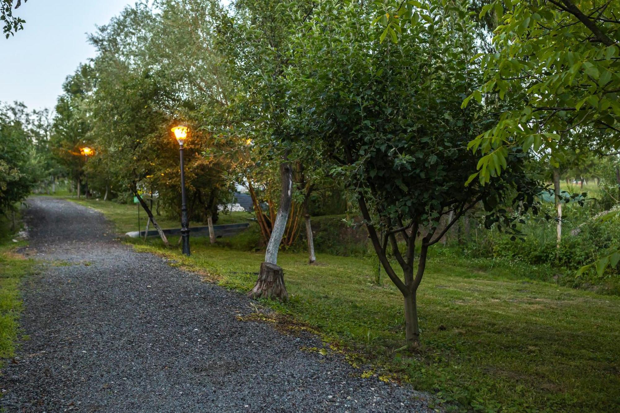 Agropensiunea Colev Stremt Exterior foto