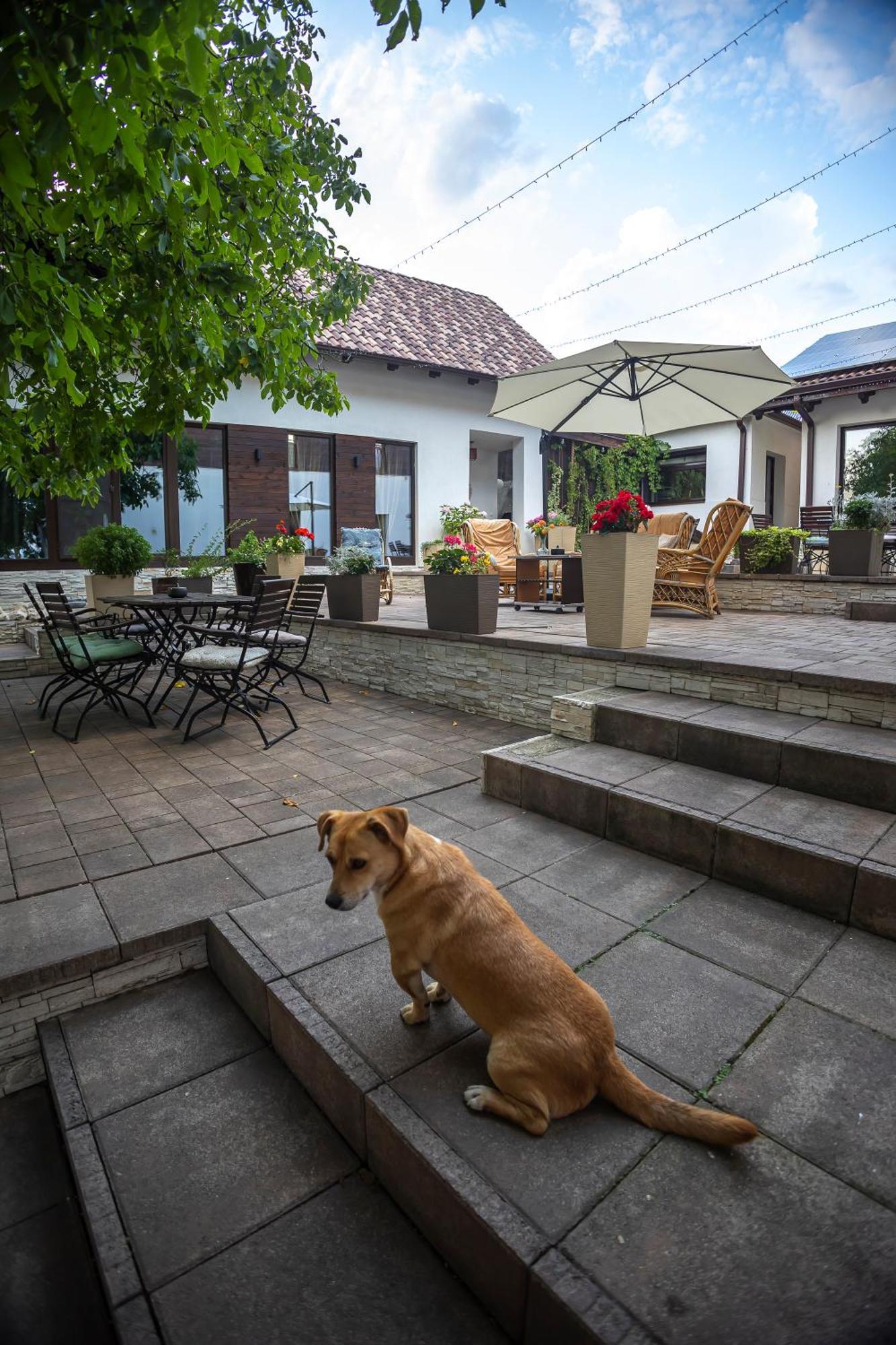 Agropensiunea Colev Stremt Exterior foto